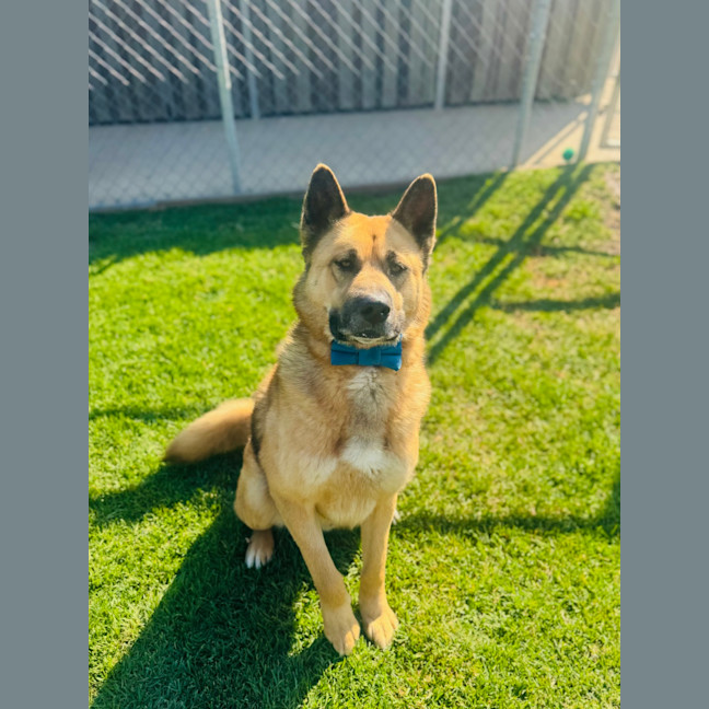 Photo of Theodore