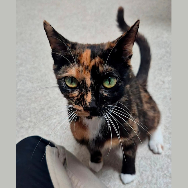 Photo of Faye (8925)