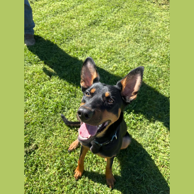 Photo of Oakley