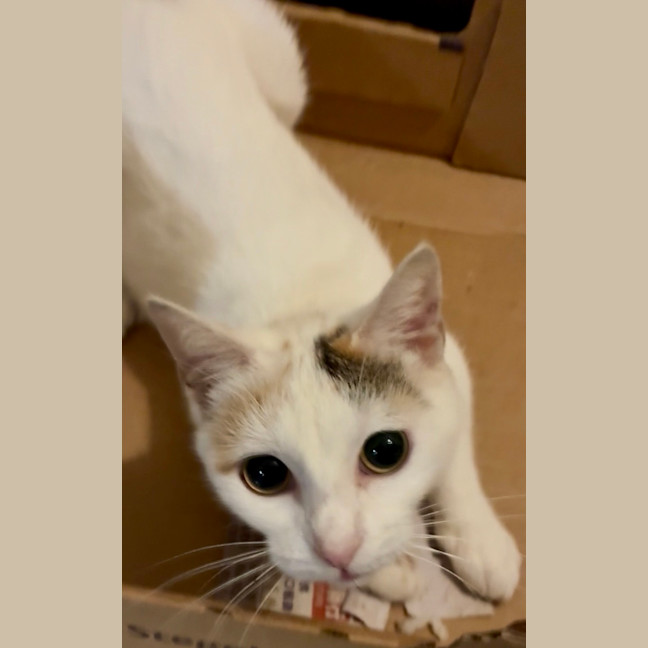 Photo of Isla