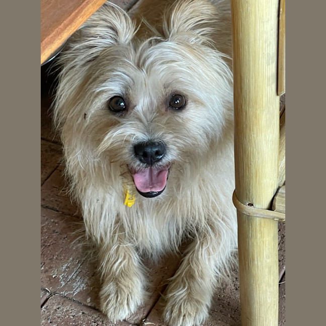Photo of Milly