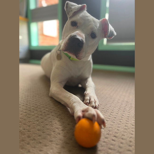 Photo of Lucy Goosey