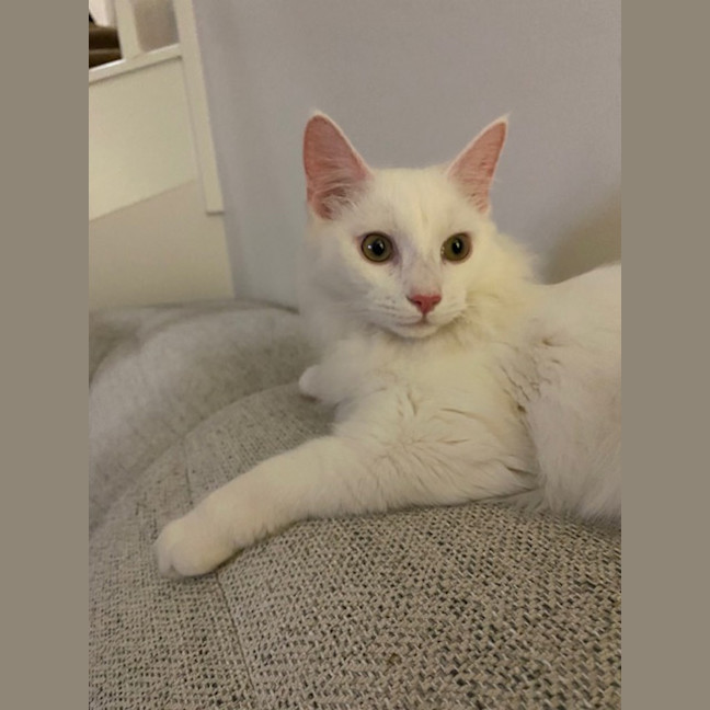 Photo of Cloud