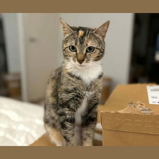 Photo of Buttercup