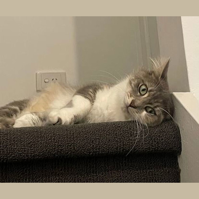 Photo of Rosie