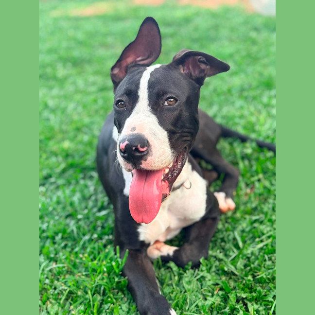 Photo of Marty