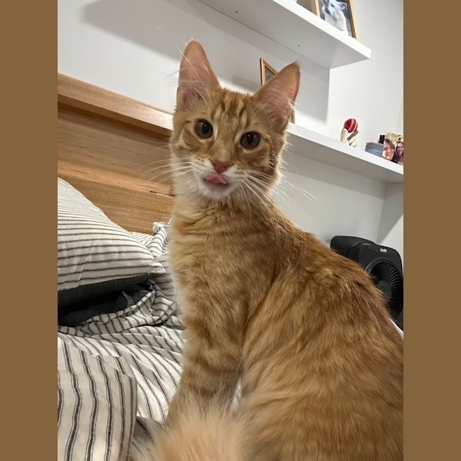 Photo of Alvin