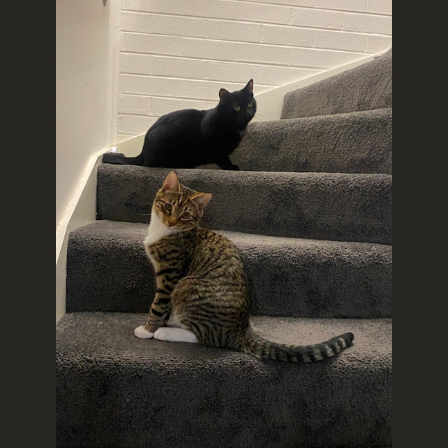 Photo of Bruni (With Jinx)