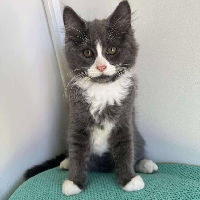 Photo of Huey And Lulu