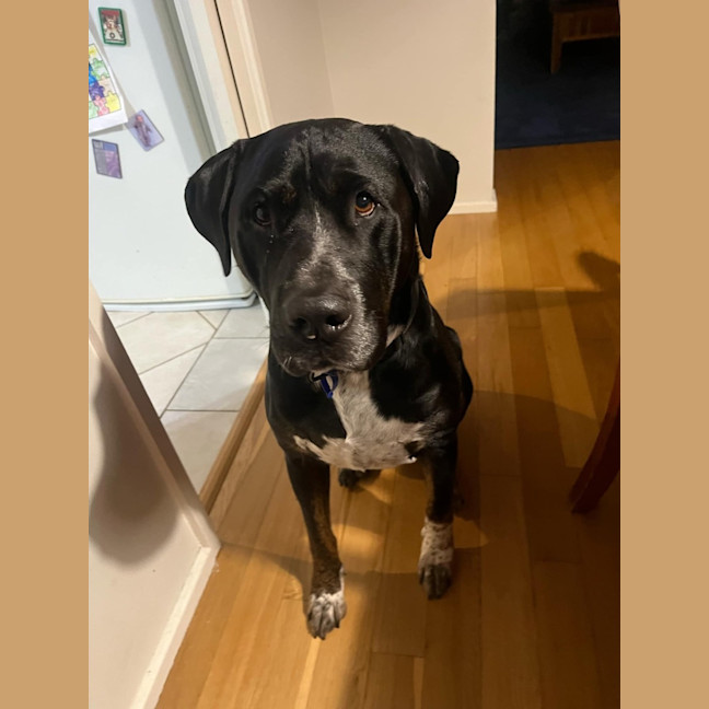 Photo of Cash