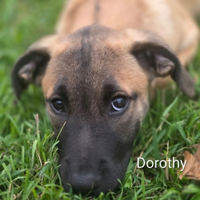 Photo of Dorothy