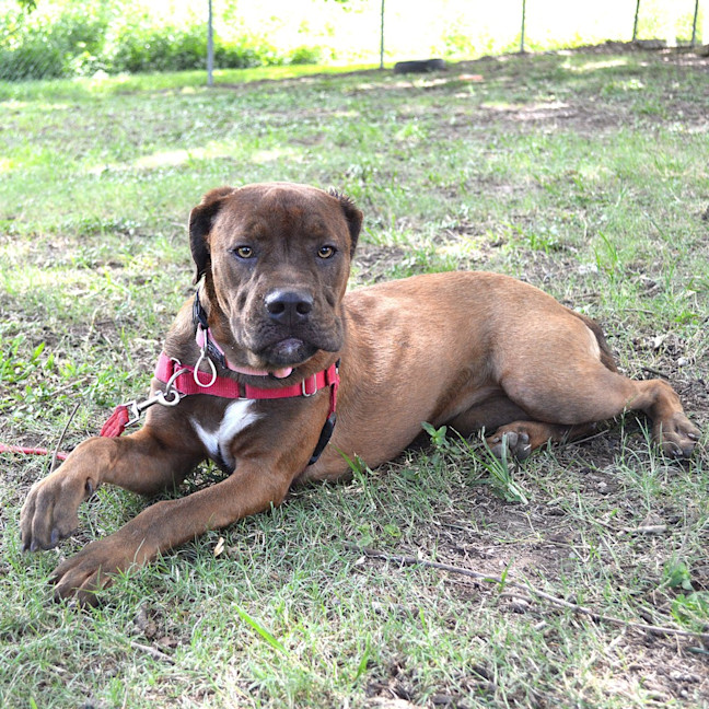 Photo of Ruby