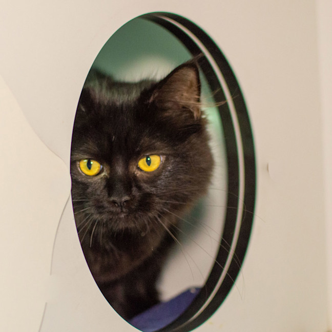 Photo of Flip