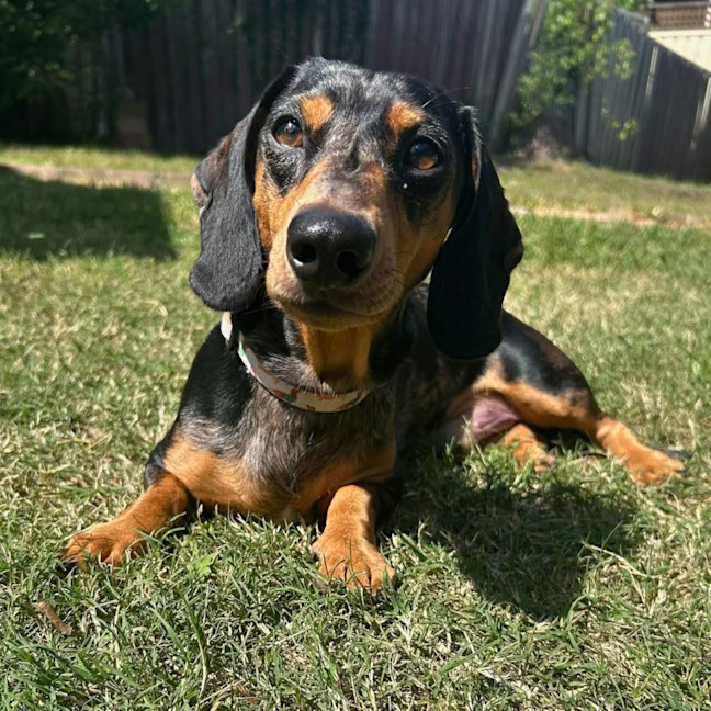 Photo of Charlie