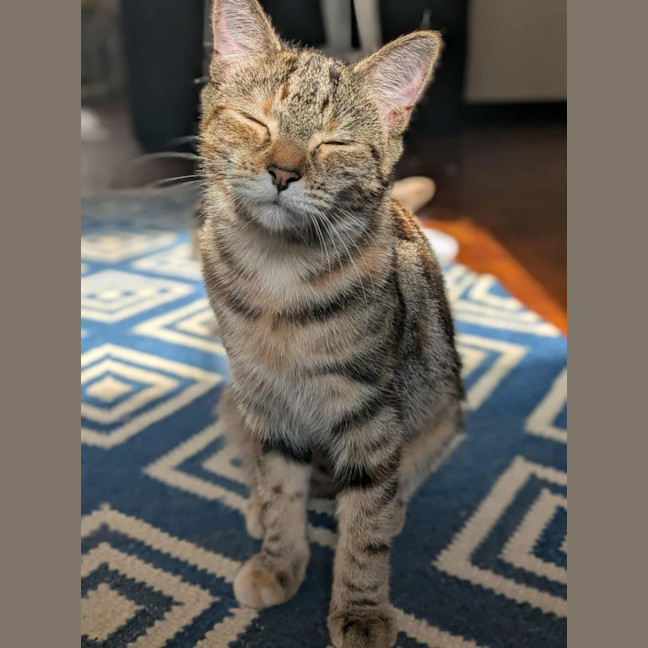 Photo of Milah