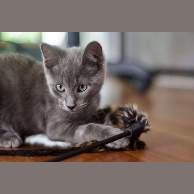 Photo of 💙 Ash 💙