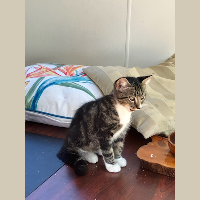 Photo of Boots♥️