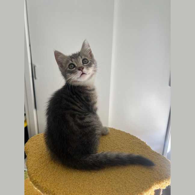 Photo of Roll