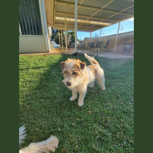 Photo of Darla (Jess)