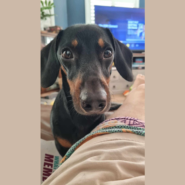 Photo of Boris