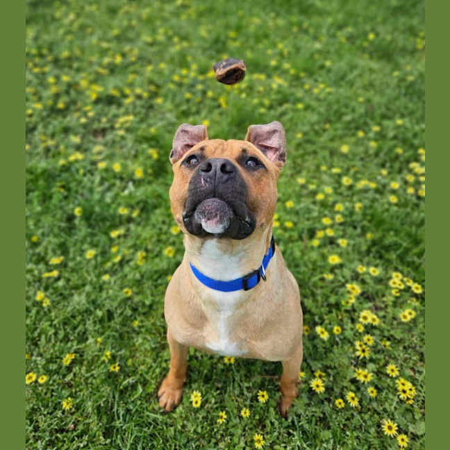 Photo of Tank