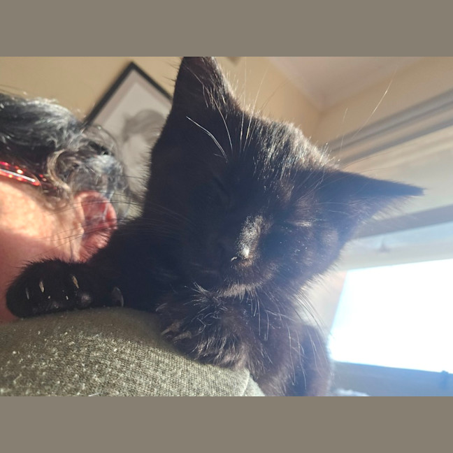 Photo of Nebula