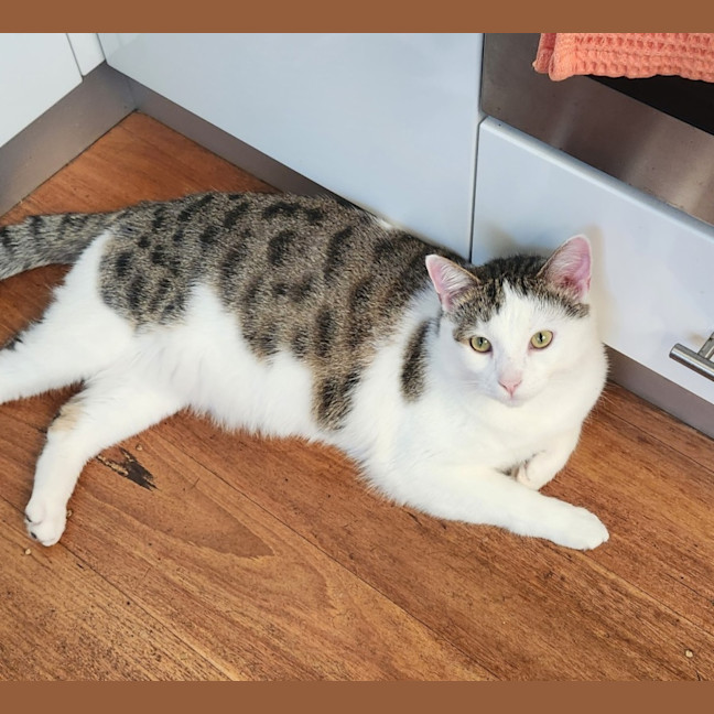 Photo of Bali & Roux