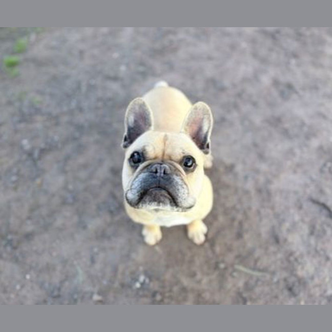 Photo of Melvin