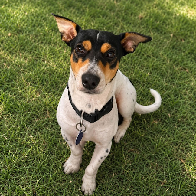 Photo of Nigel