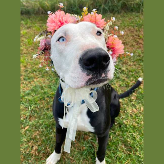 Photo of Spooky