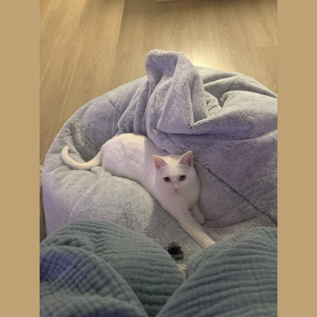 Photo of Yuki