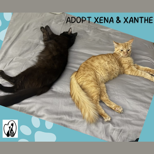 Photo of Xena & Xanthe