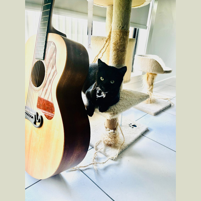 Photo of Francis / Edgar
