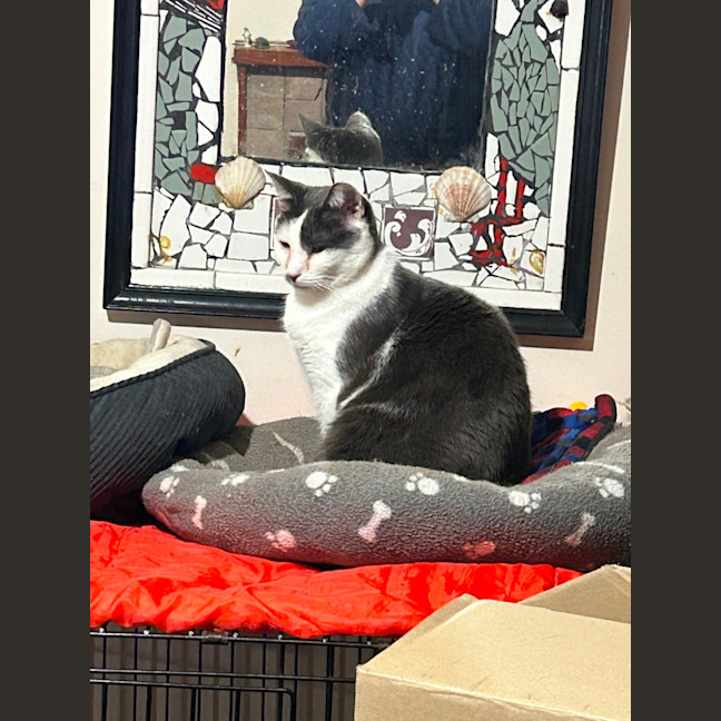 Photo of Cookie Mumma