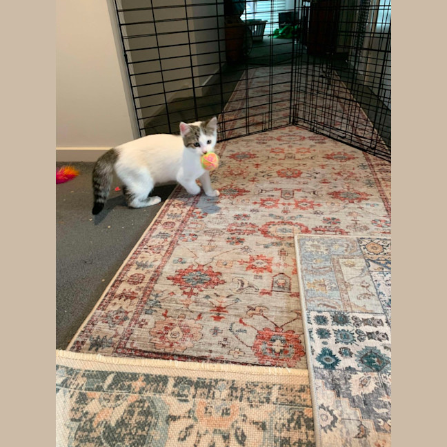 Photo of Johnny   Super Friendly