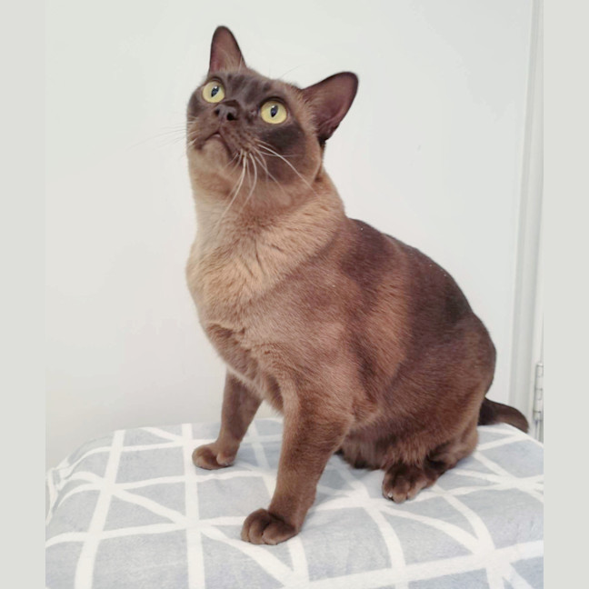 Photo of 🪕Banjo🪕