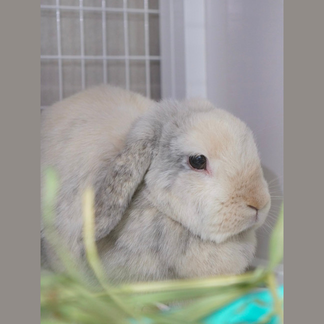 Photo of Harlow & Quinn