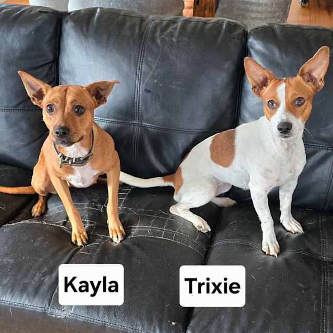 Photo of Trixie And Kayla