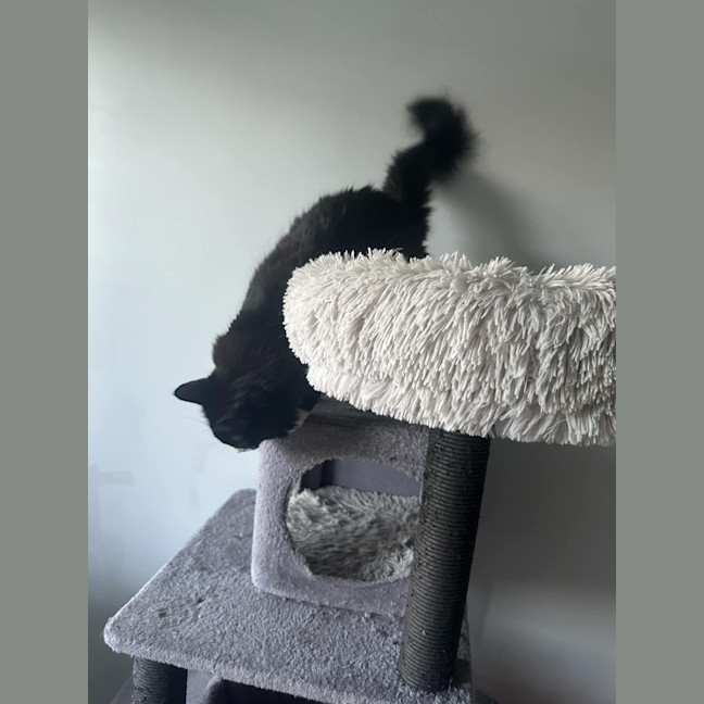 Photo of Maggie