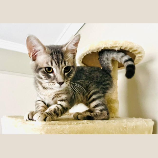 Photo of Magnus