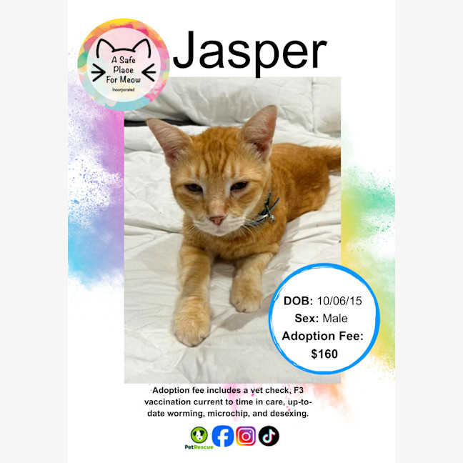 Photo of Jasper