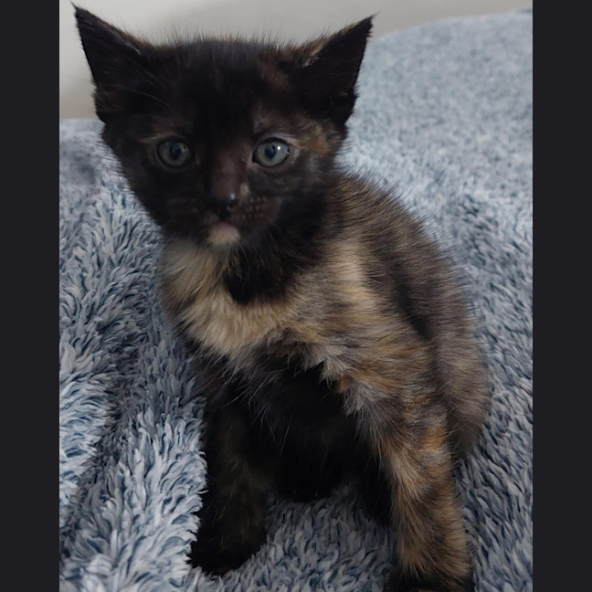 Photo of Sally