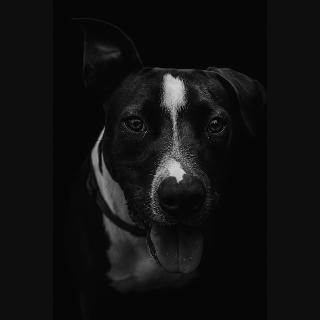 Photo of Wallace