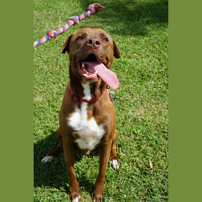 Photo of Wally