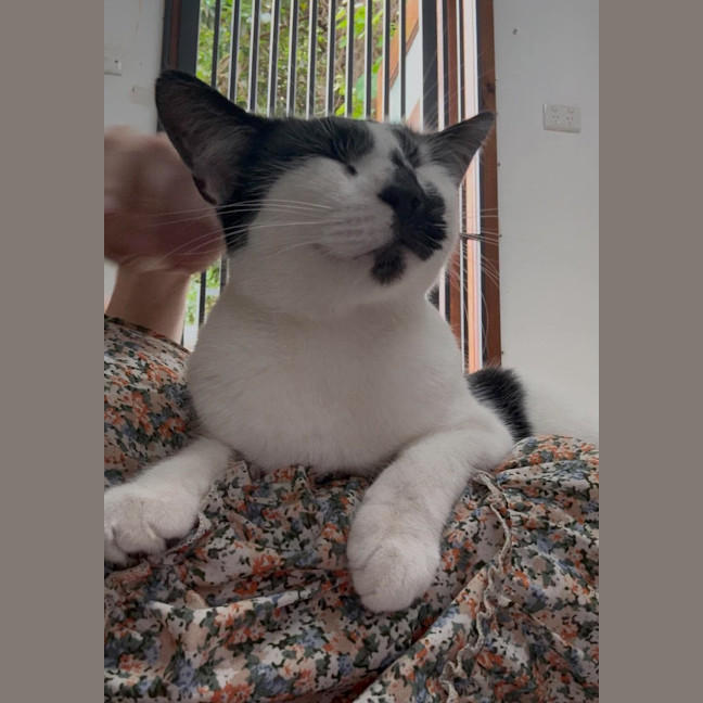 Photo of Hamish