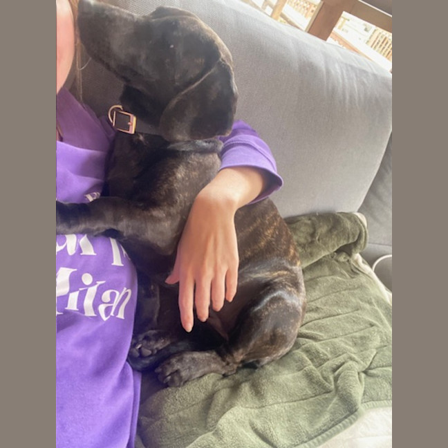 Photo of Elsa