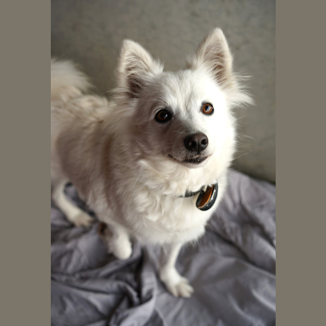 Photo of Nikita