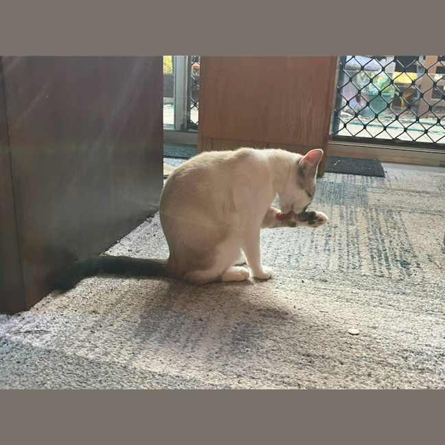 Photo of Ralphie♥️