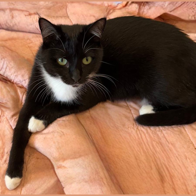 Photo of Stella 🌹