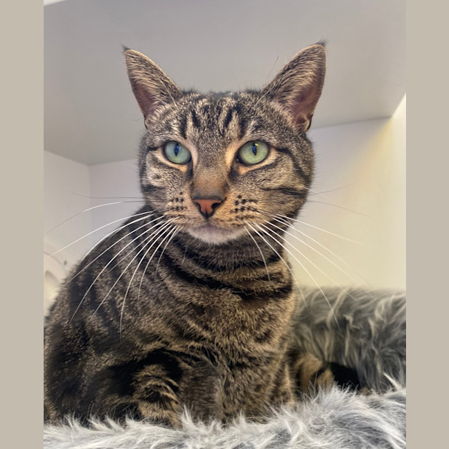 Photo of Pablo